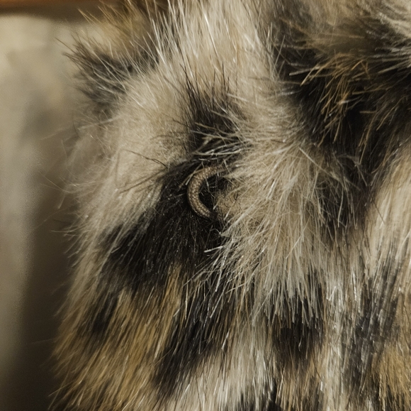 NICOLE MILLER faux fur Leaopard Coat- Sz US Large - Picture 4 of 8